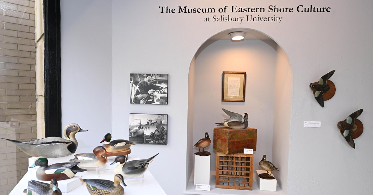 Museum of Eastern Shore Culture at Salisbury University